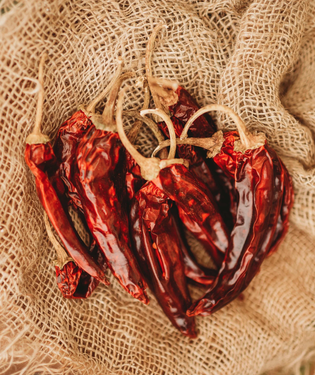 Screen Shot 2026-01-17 at 4.02.42 PM.png