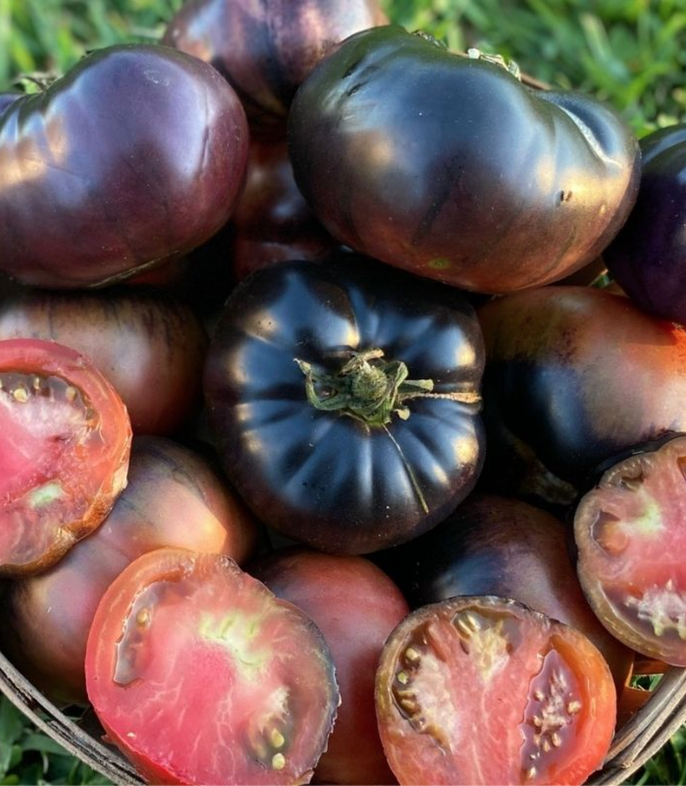 Screen Shot 2026-01-17 at 9.15.09 AM.png