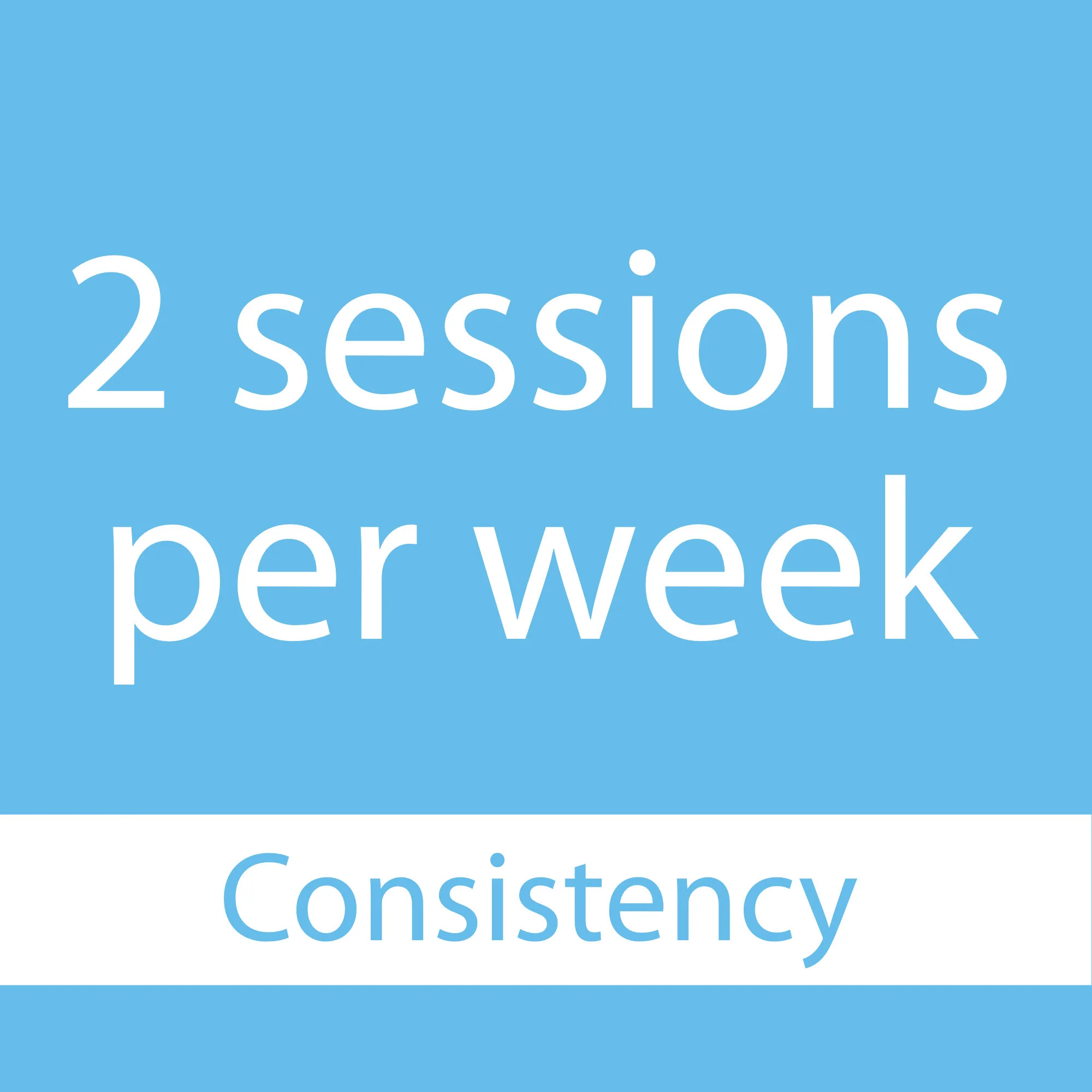 Consistency Package 2x per week - 50-Minute Master Trainer Sessions