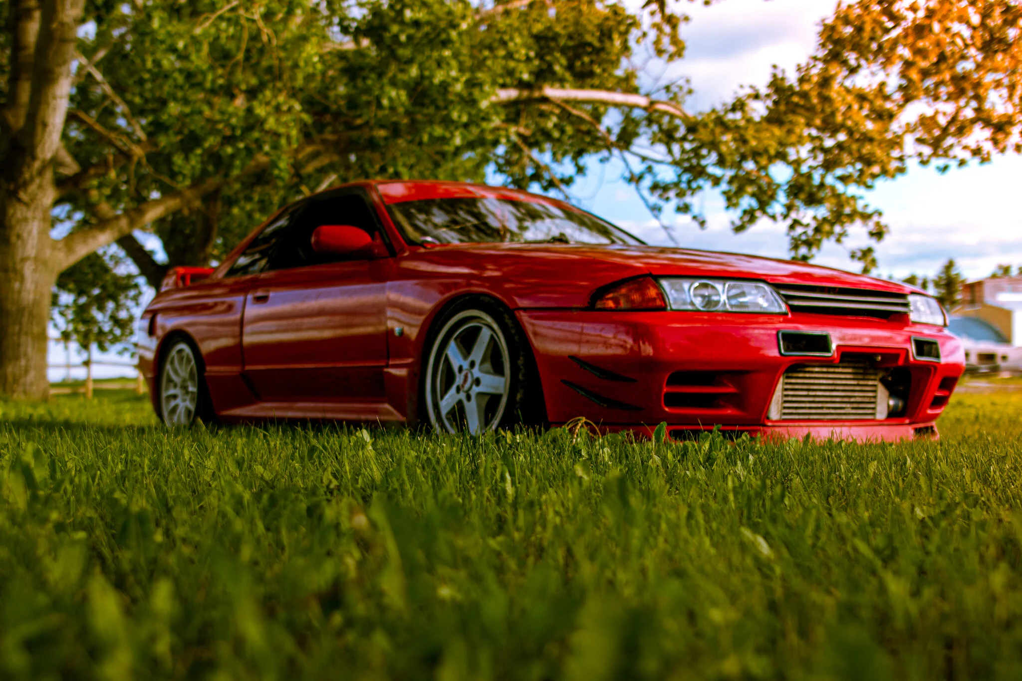 SKYLINE CANADA DAY-04.jpg