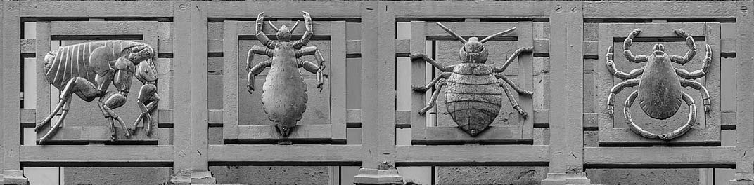 021-1600px-Gilded_Vectors_of_Disease_-_Horizontal.jpg