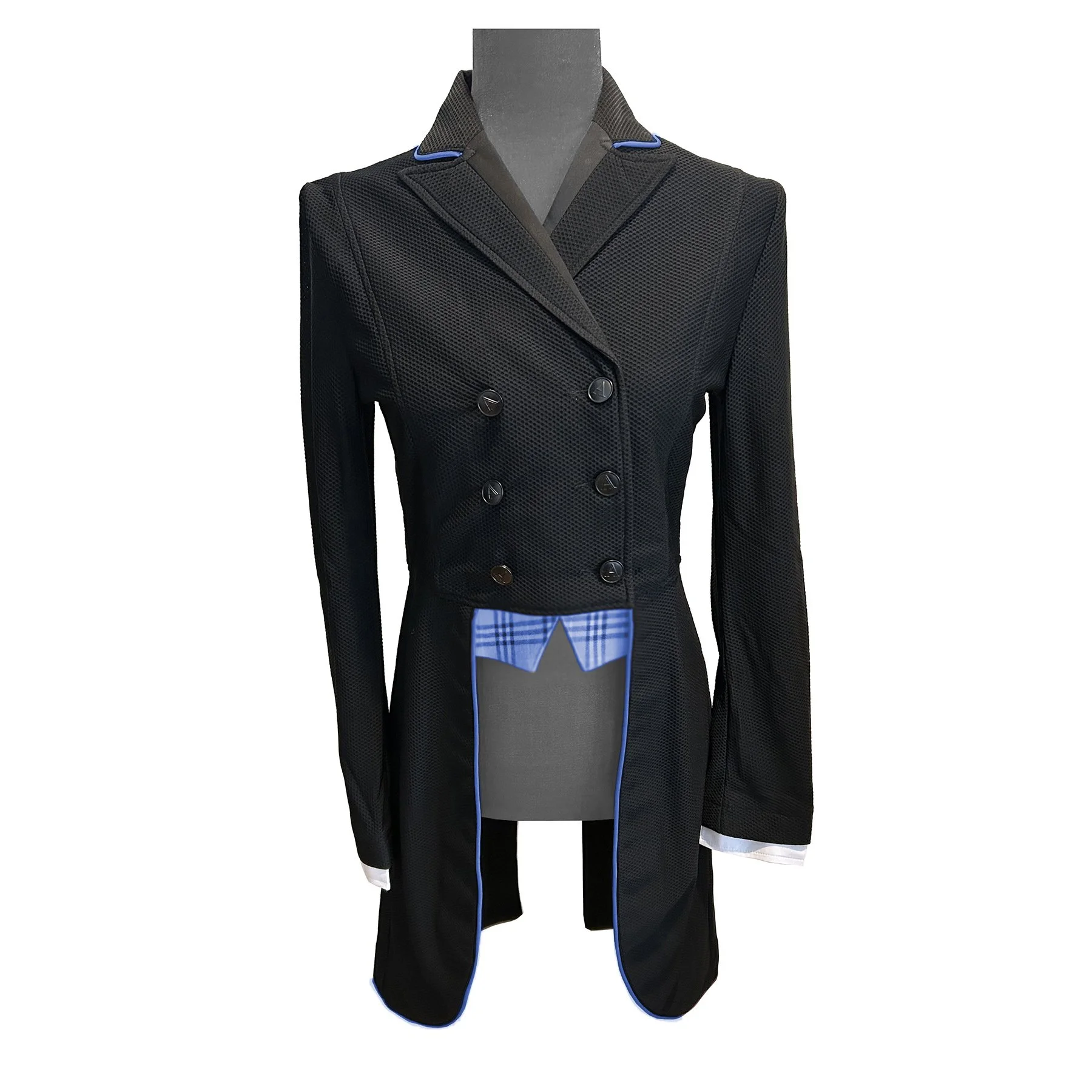 shadladies cobalt with cobalt points.jpg