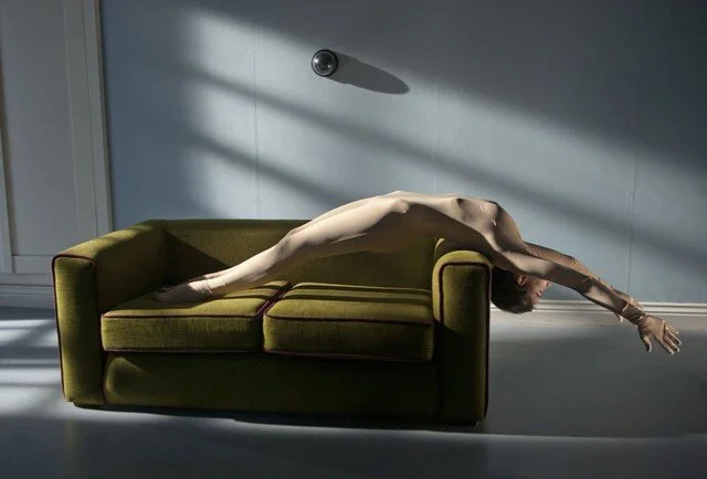 the skin i live in.jpg