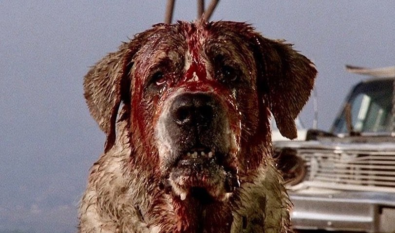 Bad Dog: ‘Cujo’ Still Scares 40 Years Later