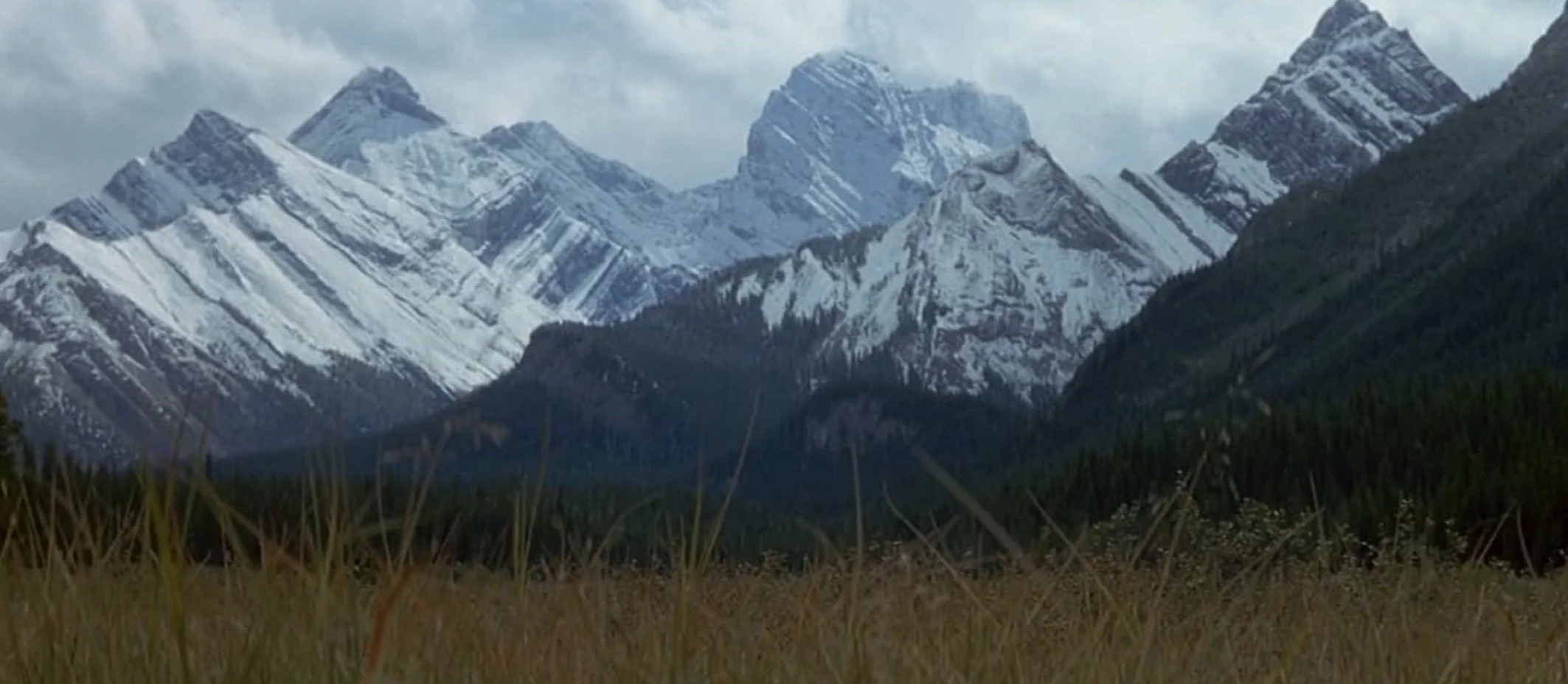 A large mountain range looms over a field.