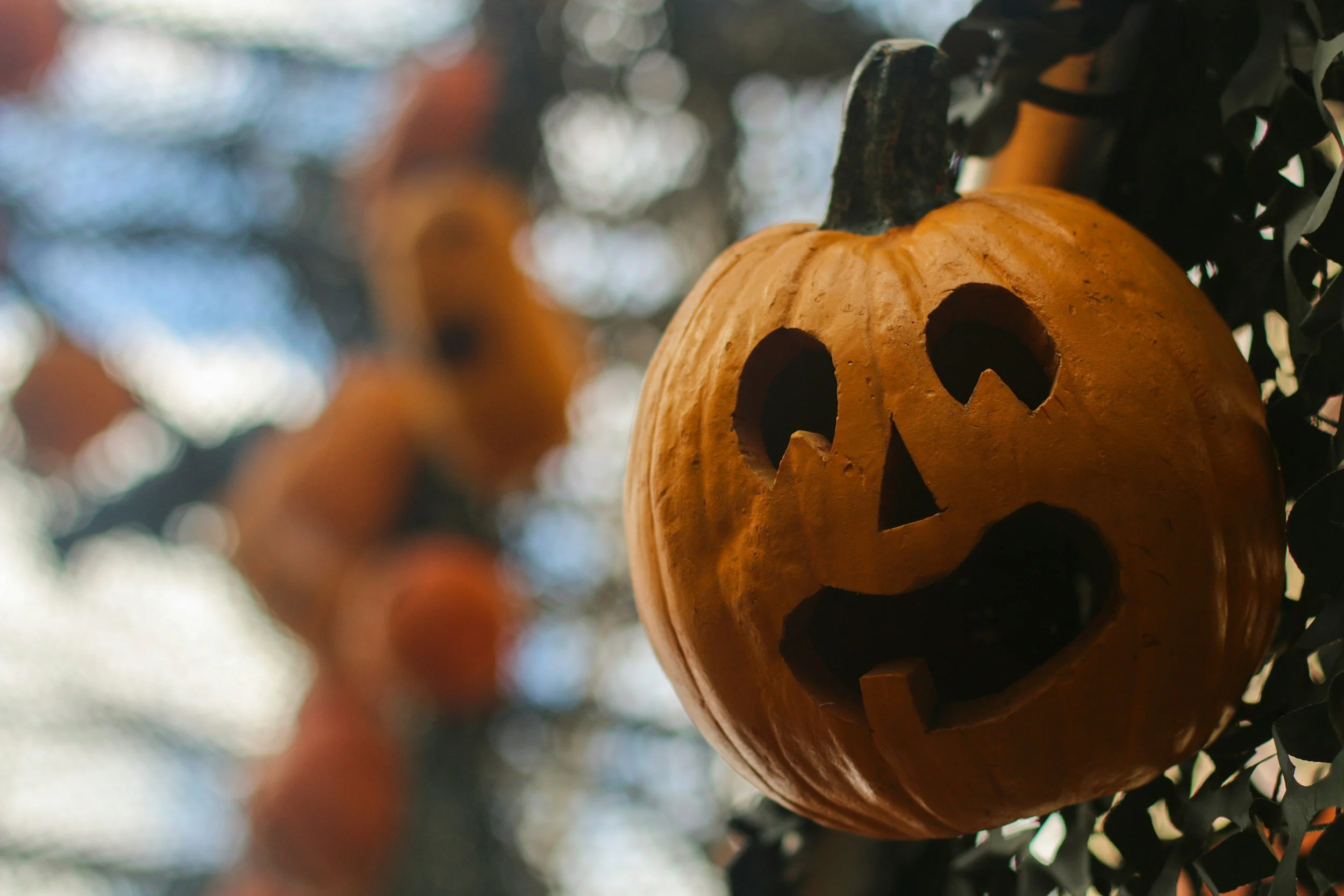 As Halloween Approaches: How Can You Get in the Horror Mood