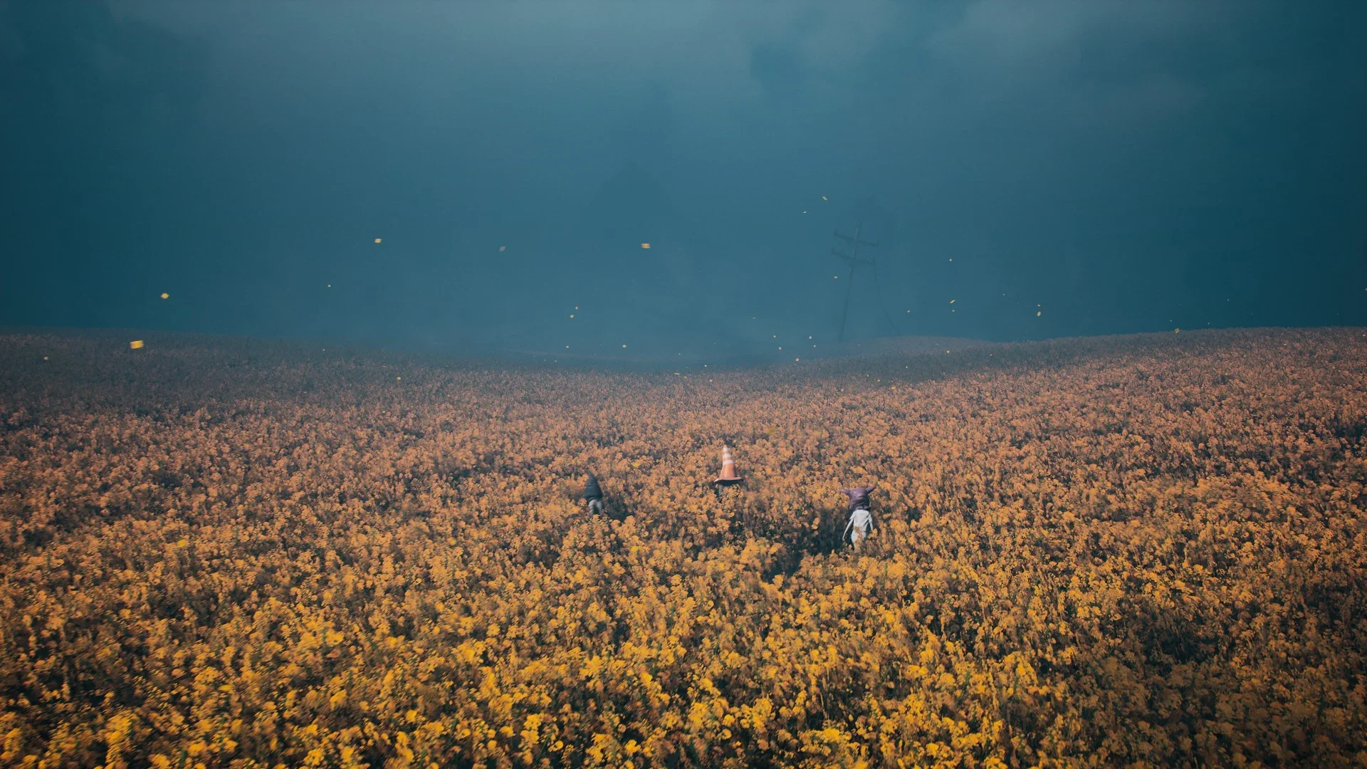 A vast field of yellow flowers against a misty blue-grey sky.