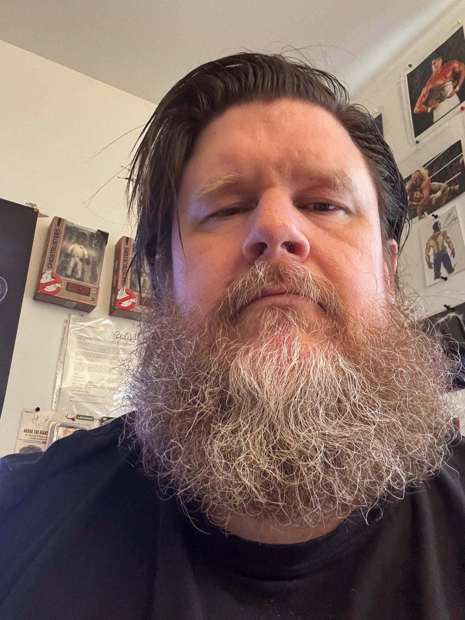 Close up image of a man with a long beard and hair swept to the side.