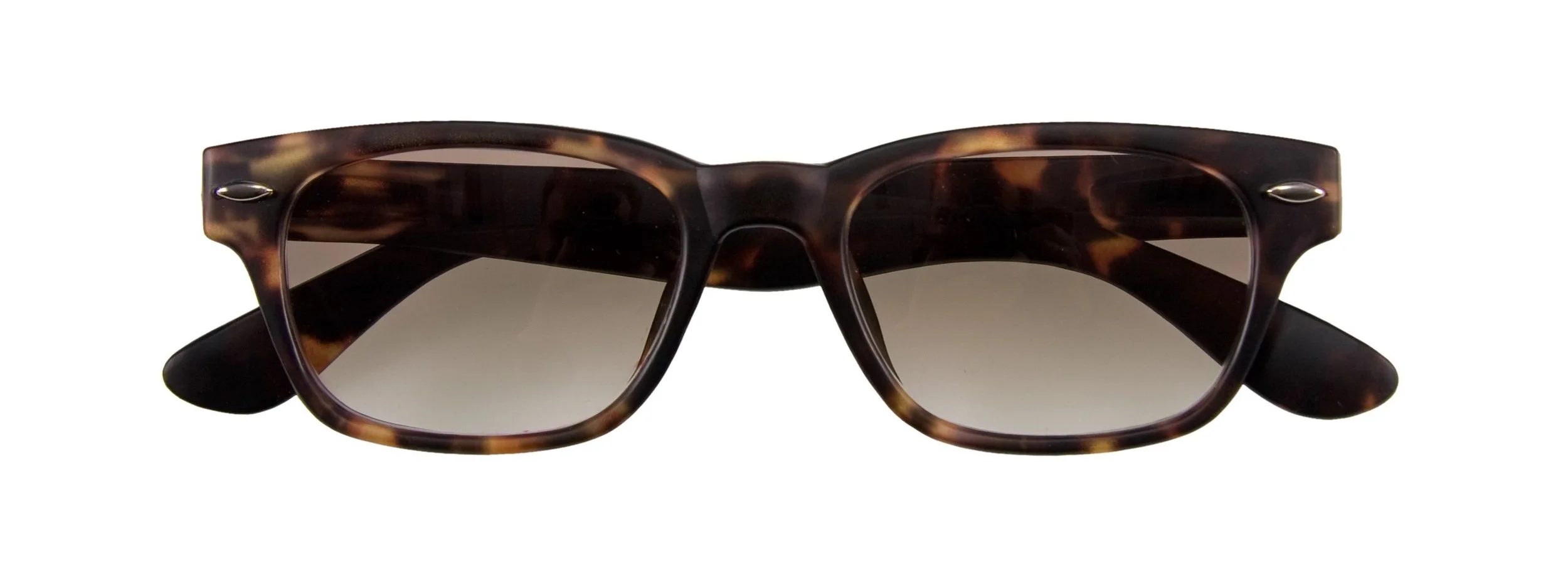 WOODY Tort Sun front  re SS.jpg