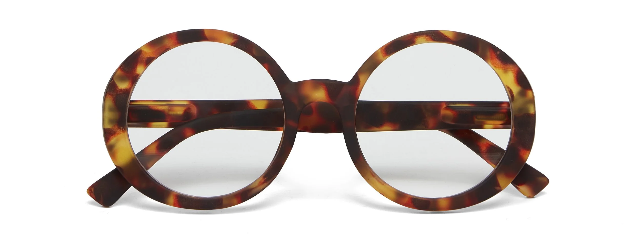 Laura Tortoise OK024 s.jpg