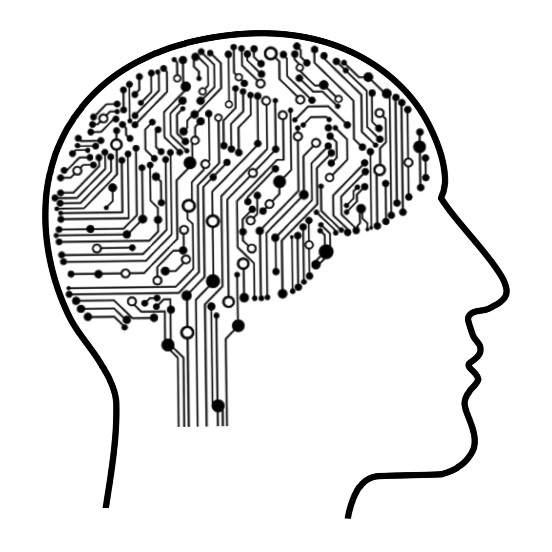 Use both logic and creativity to craft a meaningful and impactful user experience for you data. Image by mohamed Hassan from Pixabay. Brain as a circuit board.