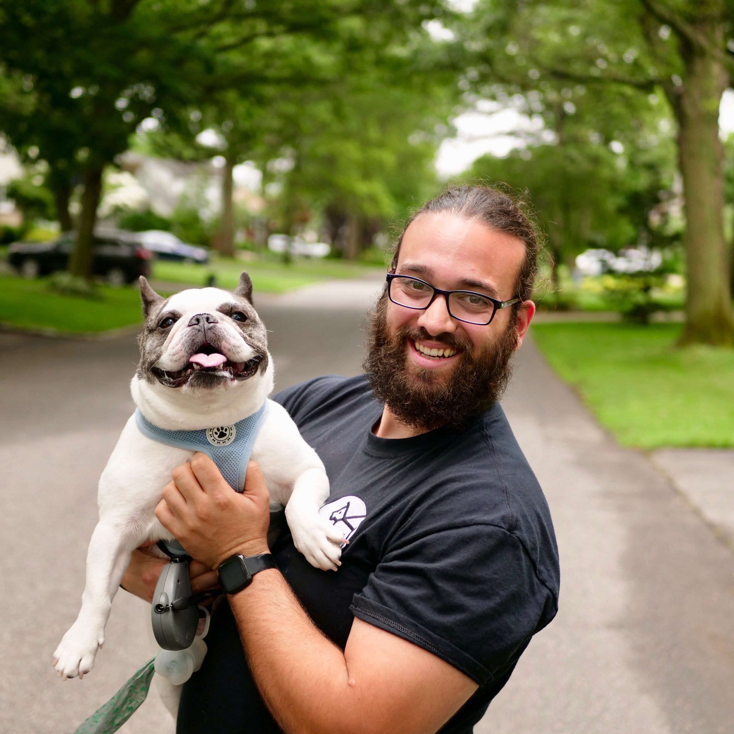 dan's dog walking and pet sitting