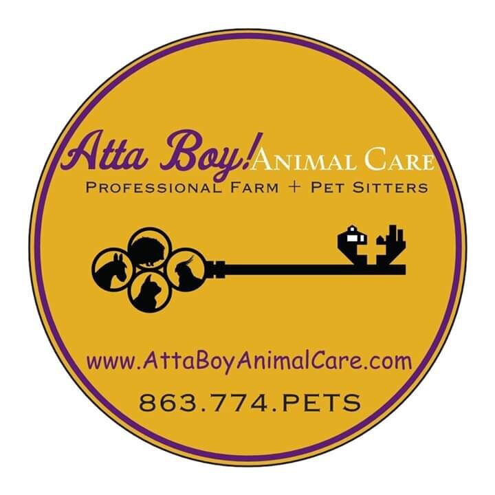 051 Rebranding With Amber Pet Sitter Confessional Podcast 051 Rebranding With Amber Pet Sitter Confessional Podcast
