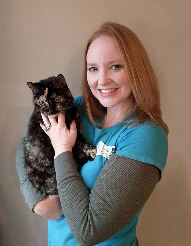 147: Consistency and Intentionality with Christina Walker