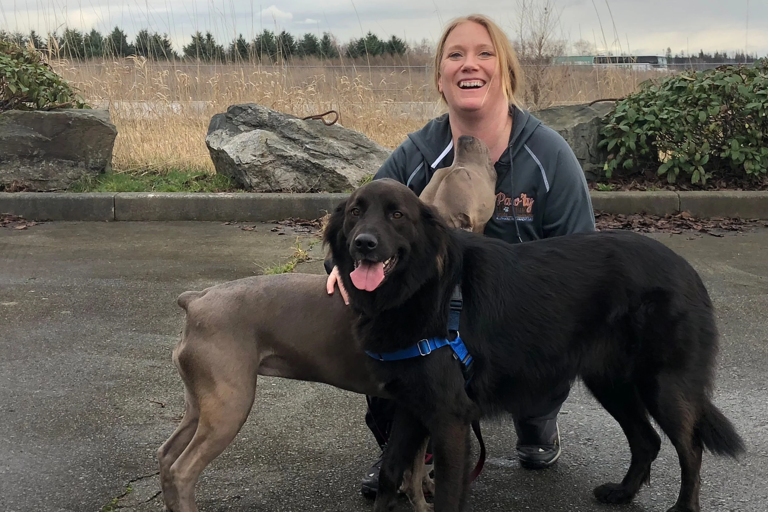 305: Advocating for Pet Parents with Tannis Martin