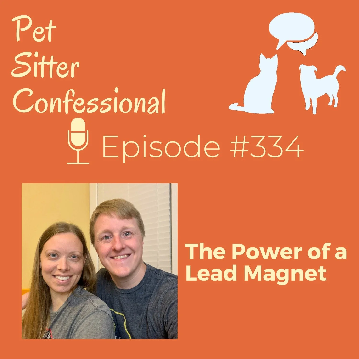 334: The Power of a Lead Magnet