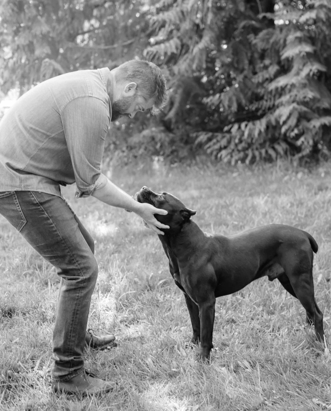 523: From Touch to Trust: Building Better Dog Relationships with Garrett Stevens