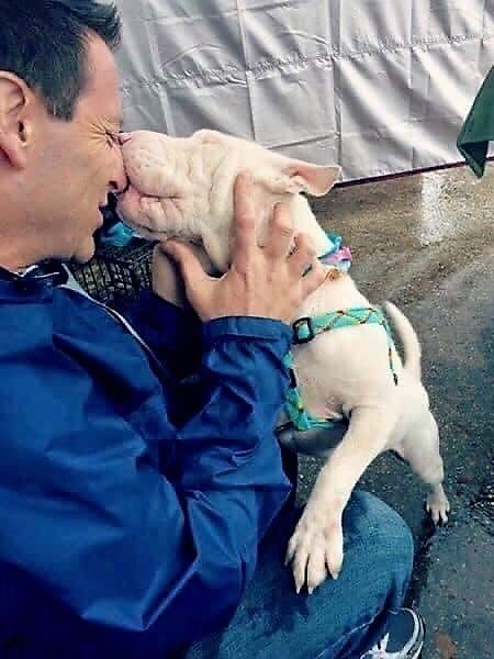 667: Safety Systems That Prevent Pet Sitting “Oh No’s” with Scott Black