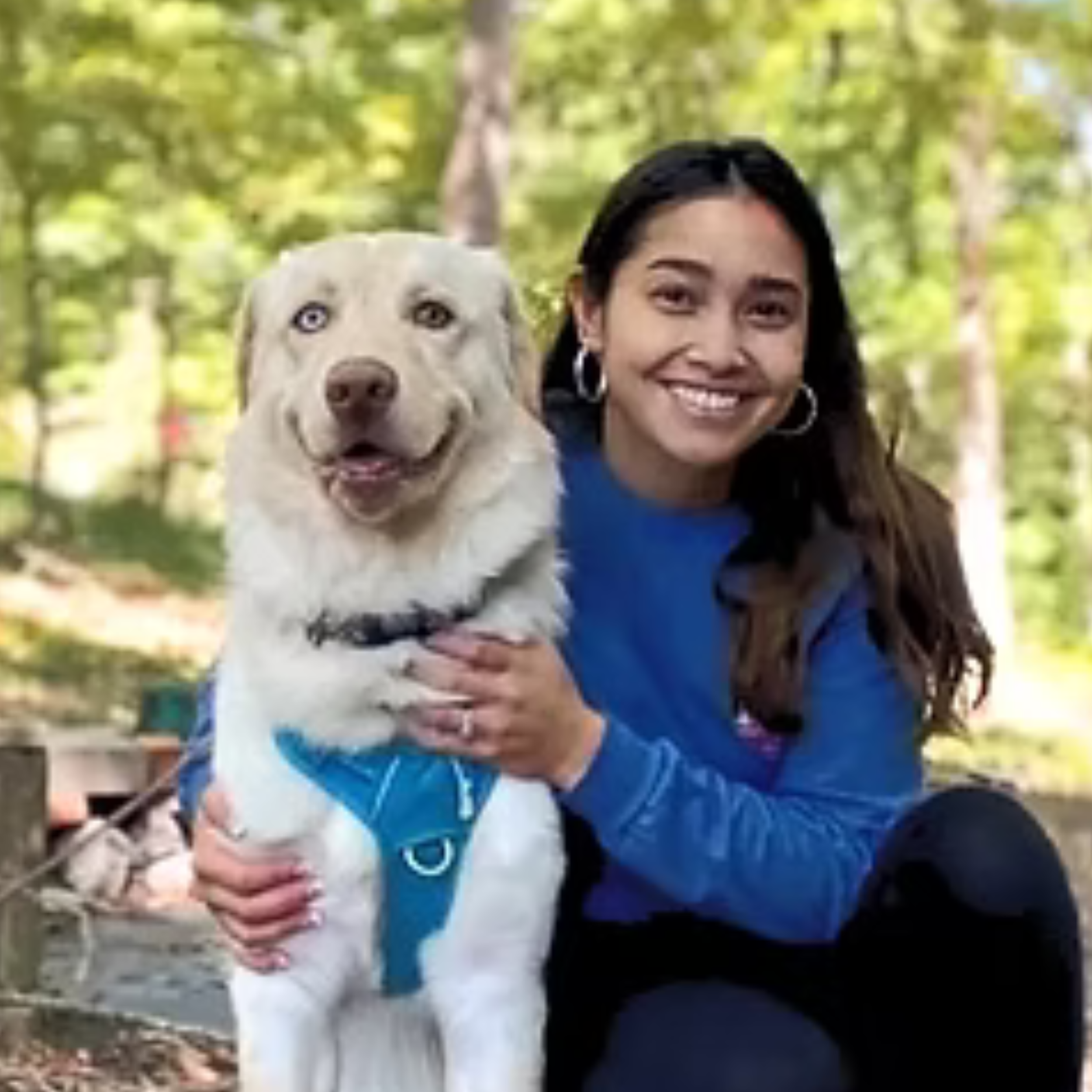 677: Setting Strong Foundations and High Standards with Malaysia Speaks