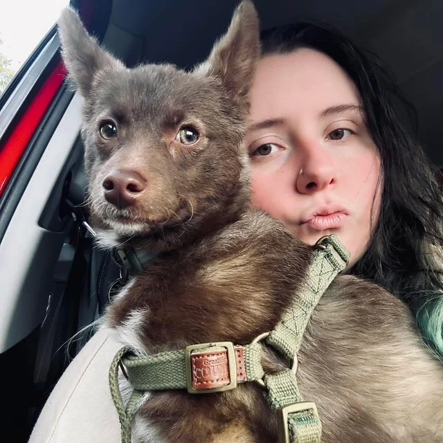 681: Mental Health, Safety, and Walking Reactive Dogs with Tanikka Spear