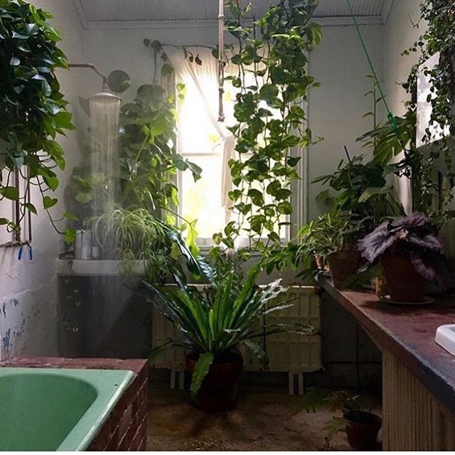 🌿best place to be on cold nights🌿 the old laboratory has been turned into our bathroom keeping the original benches and draining floor 💦