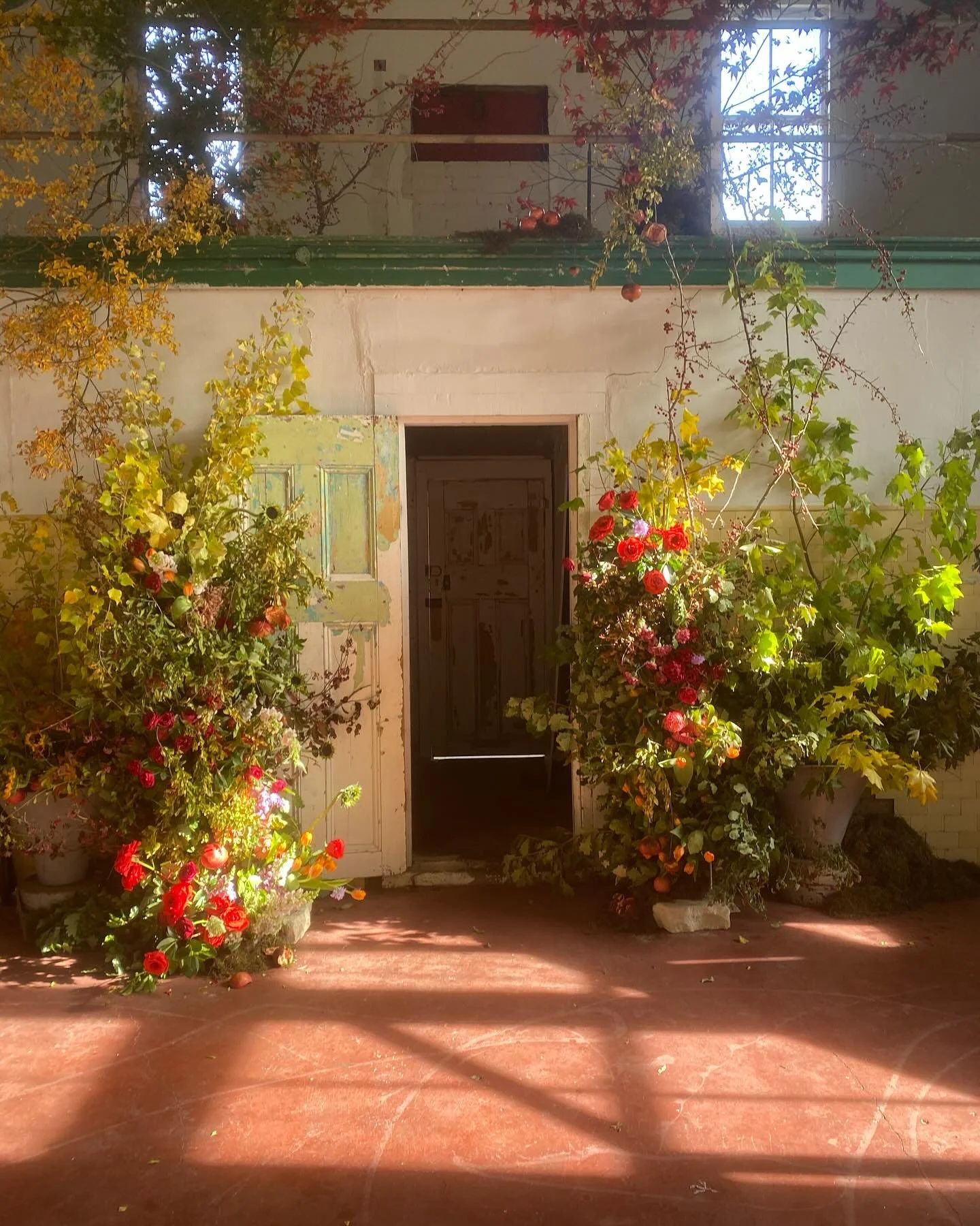 Thanks for making the place look beautiful @_saltflower