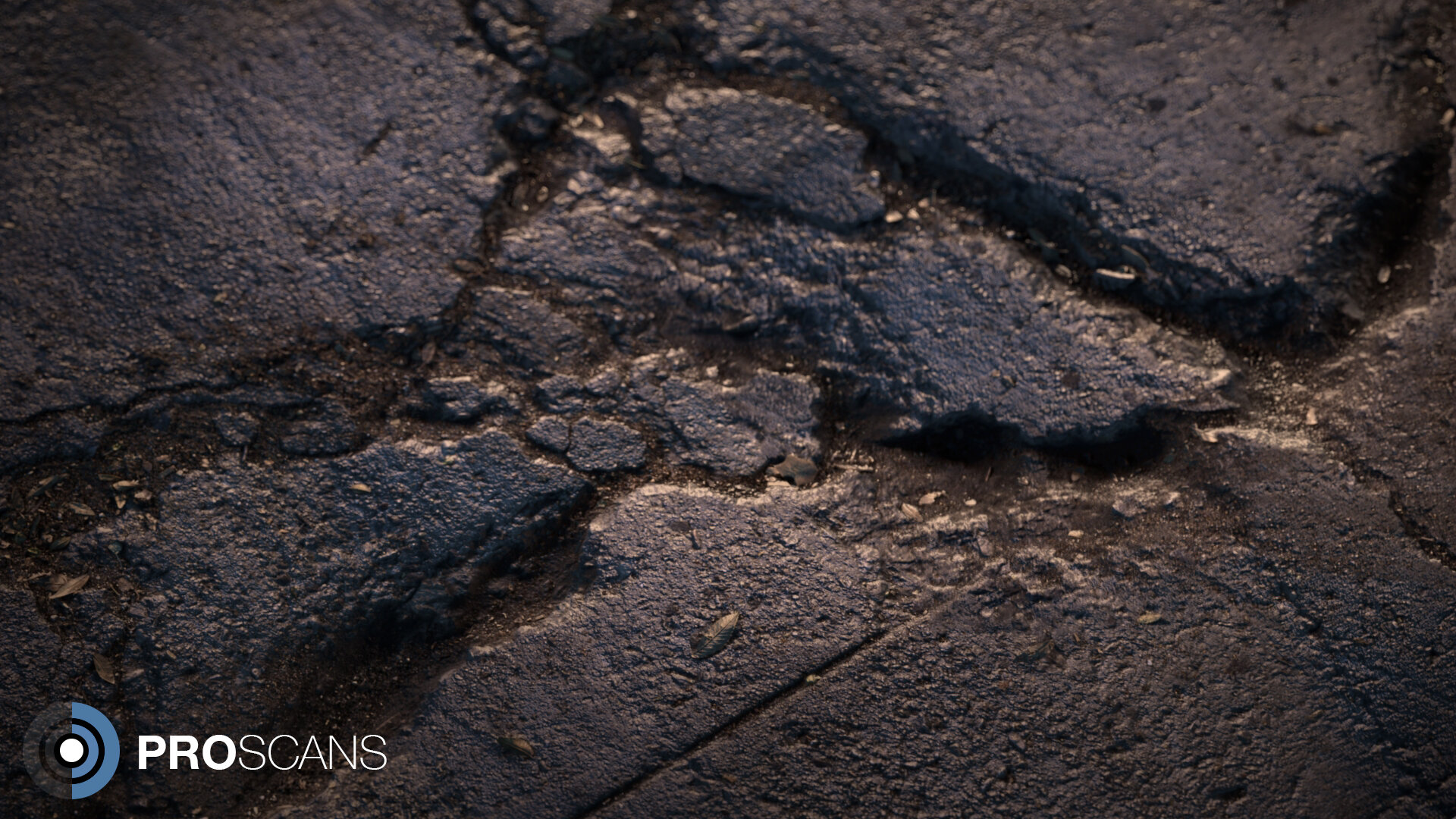 driveway_closeup_proscans.jpg