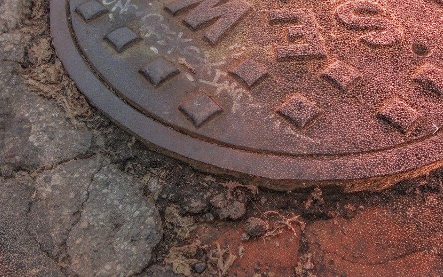 detail (overlay shows raw scan mesh)