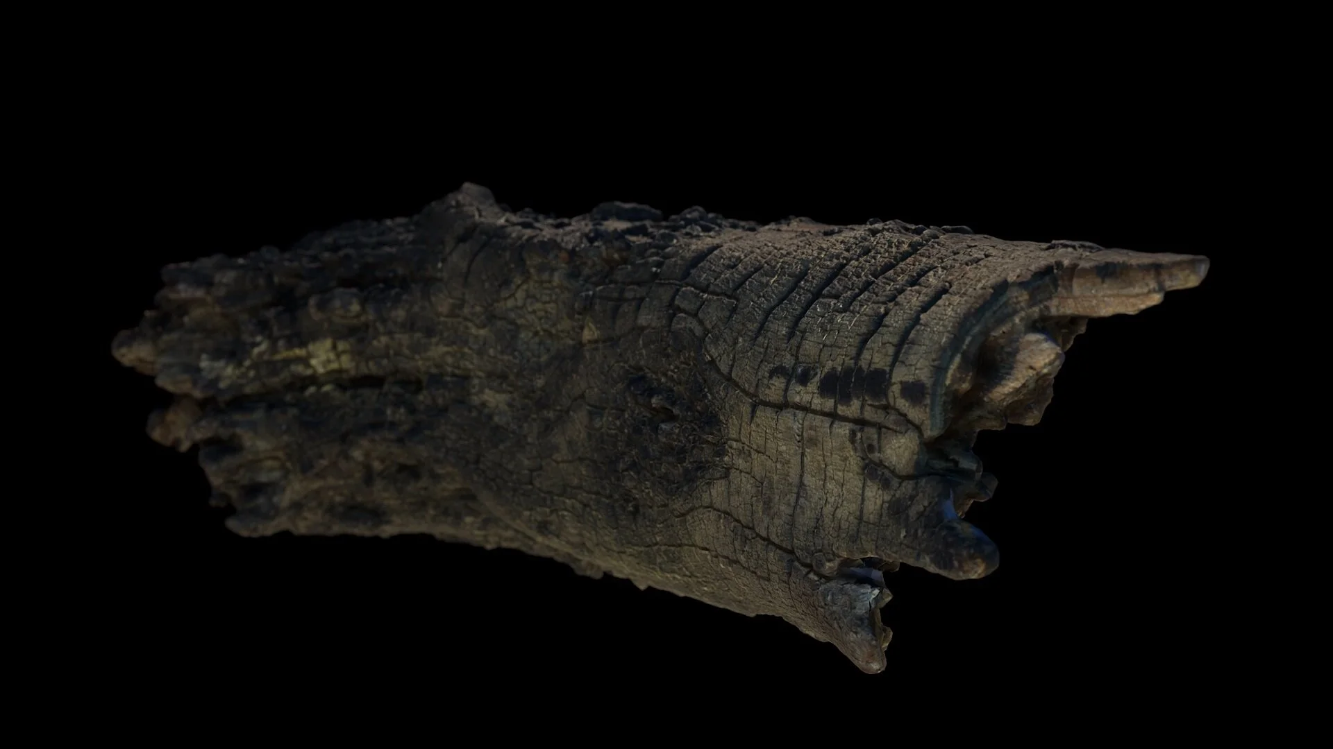 log_04_nologo.jpg