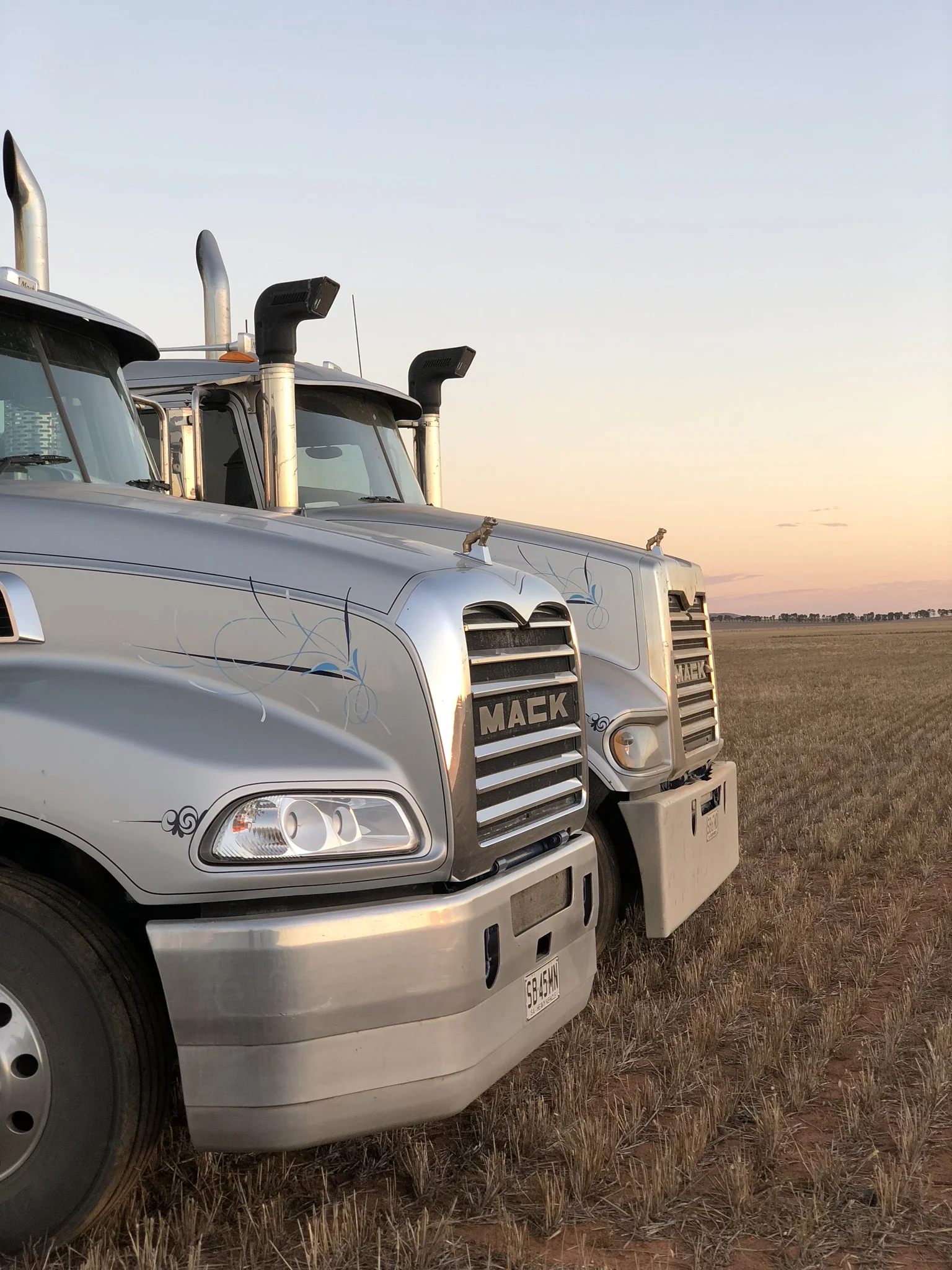 Trucks At Harvest Time