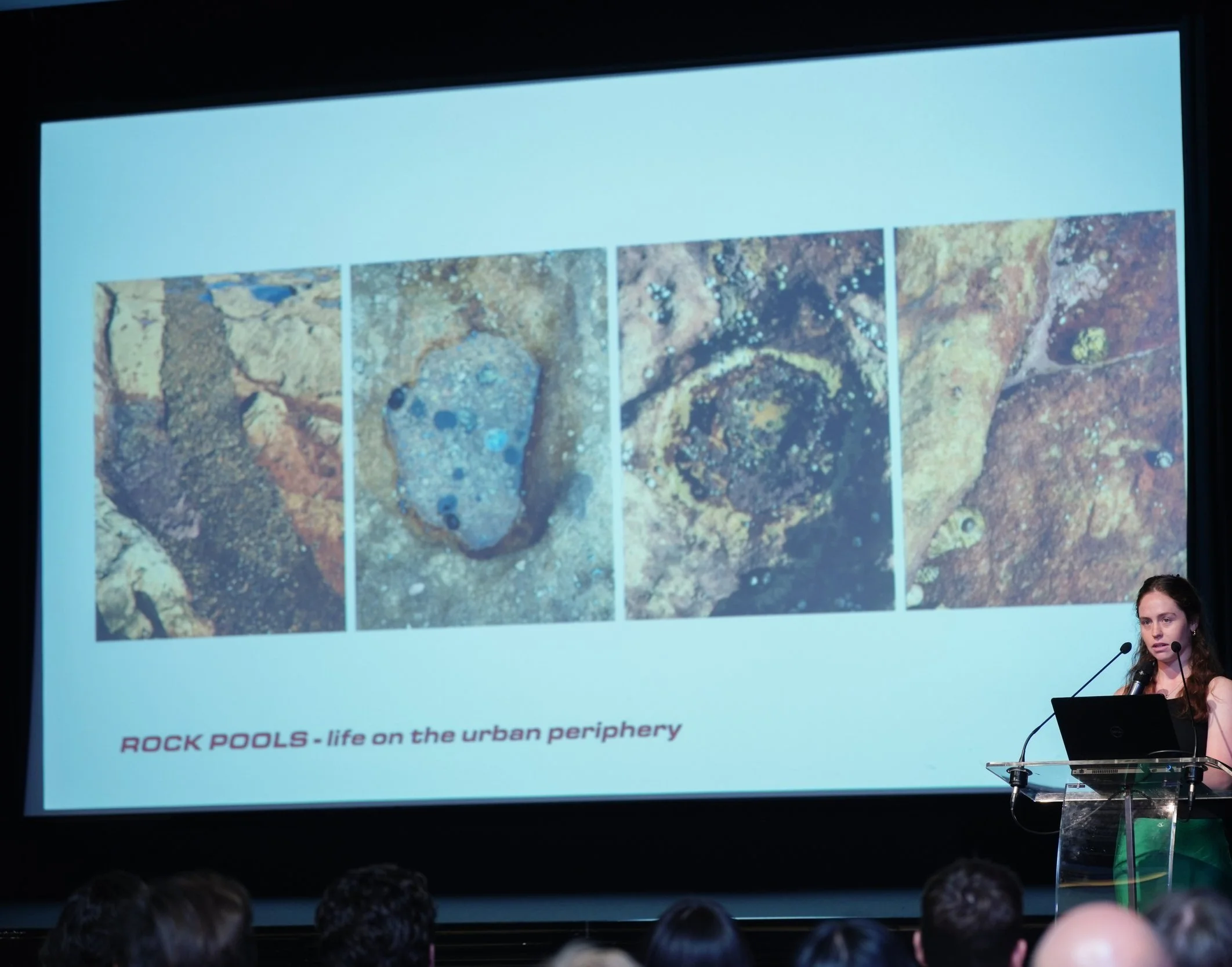 presentation at powerhouse museum on coastal adaptation, coastal urbanism and the land-sea edge