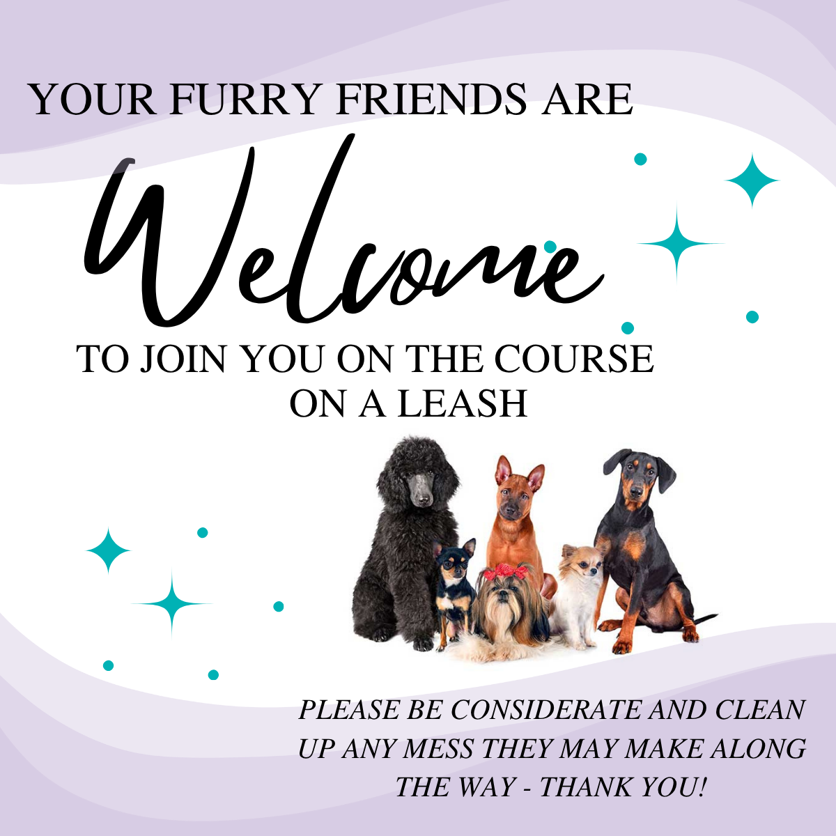 Dogs Welcome.png