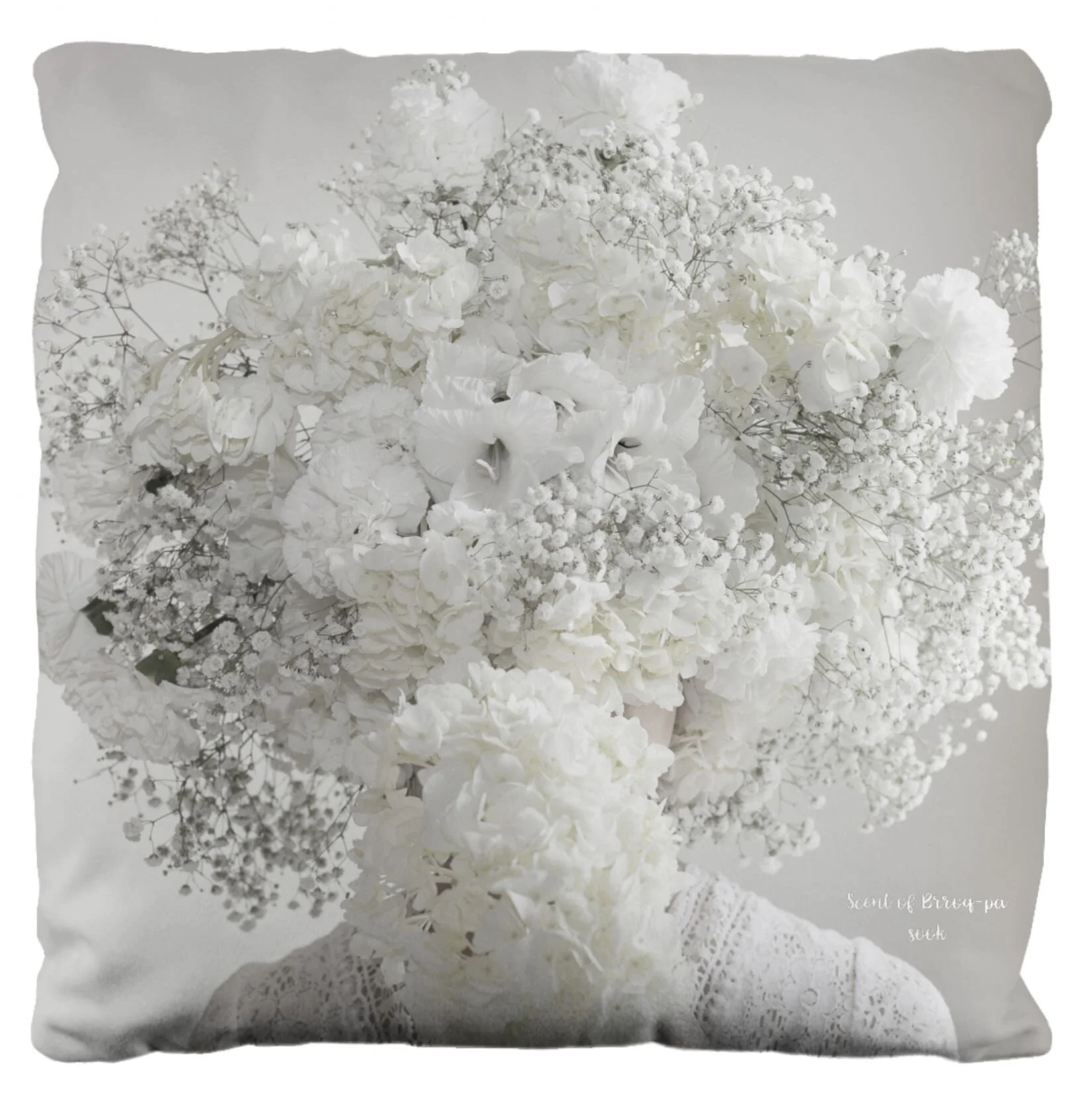 08082019 cushion.JPG