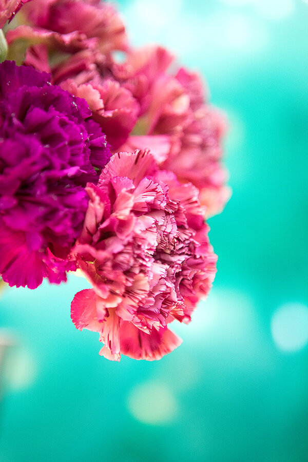 761A4163 as Smart Object-1.jpg