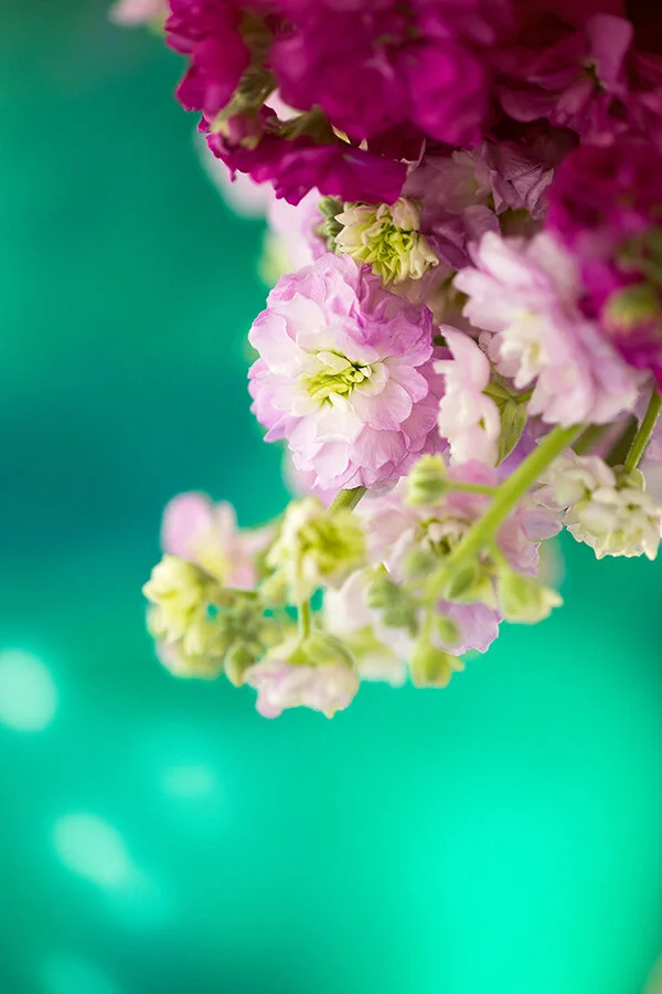 761A4648 as Smart Object-1.jpg