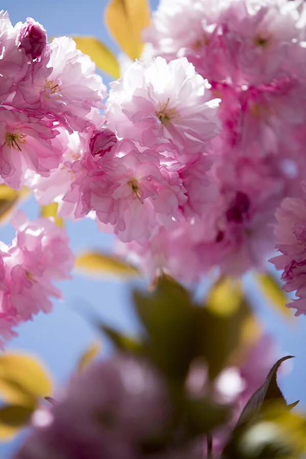 761A8384 as Smart Object-1.jpg