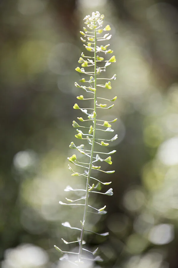 761A8502 as Smart Object-1.jpg