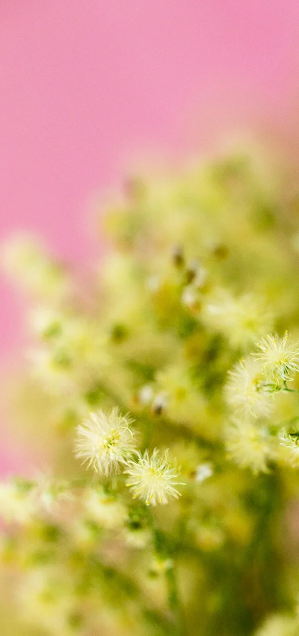 761A8233 as Smart Object-1.jpg