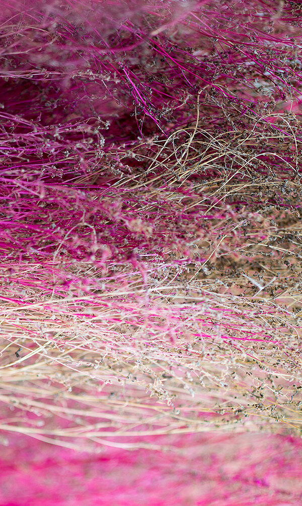 Flora-ziesook-y-Image3.jpg