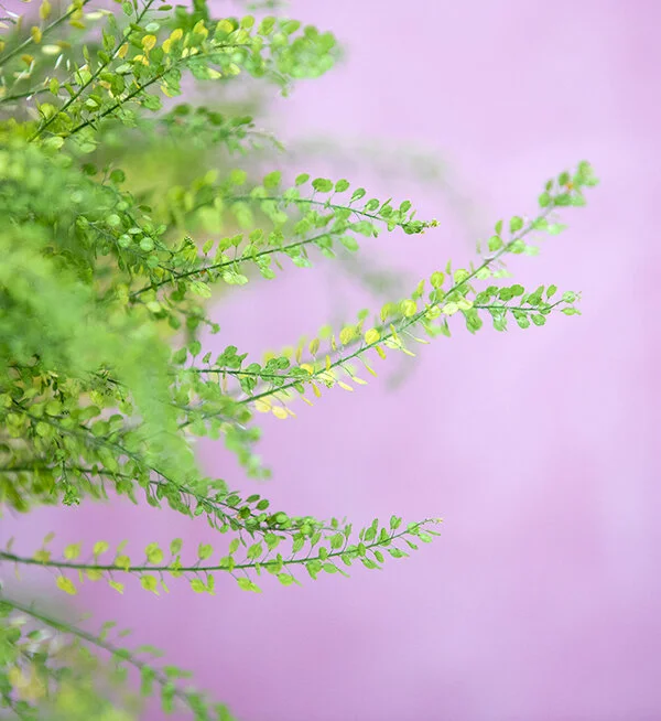 761A5122 as Smart Object-1.jpg