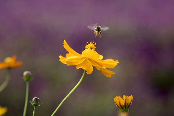 761A4901 as Smart Object-1.jpg