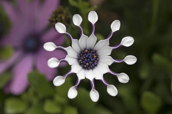 761A0207 as Smart Object-1.jpg