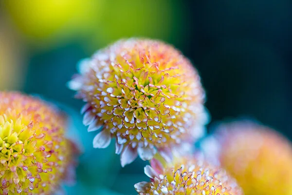 761A6370 as Smart Object-1.jpg