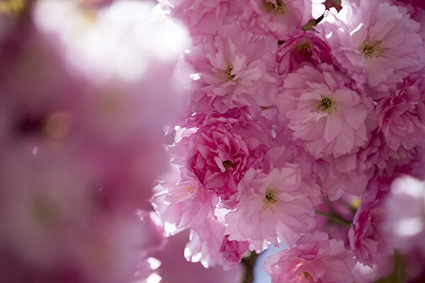 761A8385 as Smart Object-1.jpg