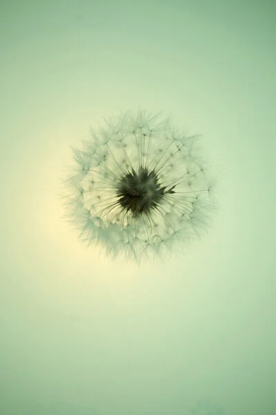 761A4850 as Smart Object-1.jpg