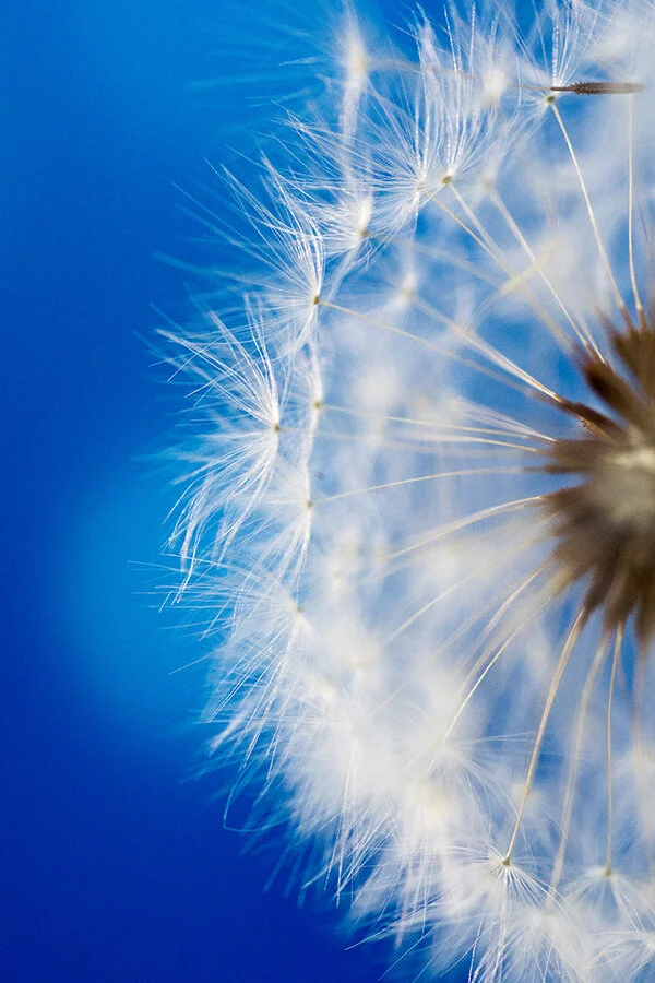 761A6854 as Smart Object-1.jpg