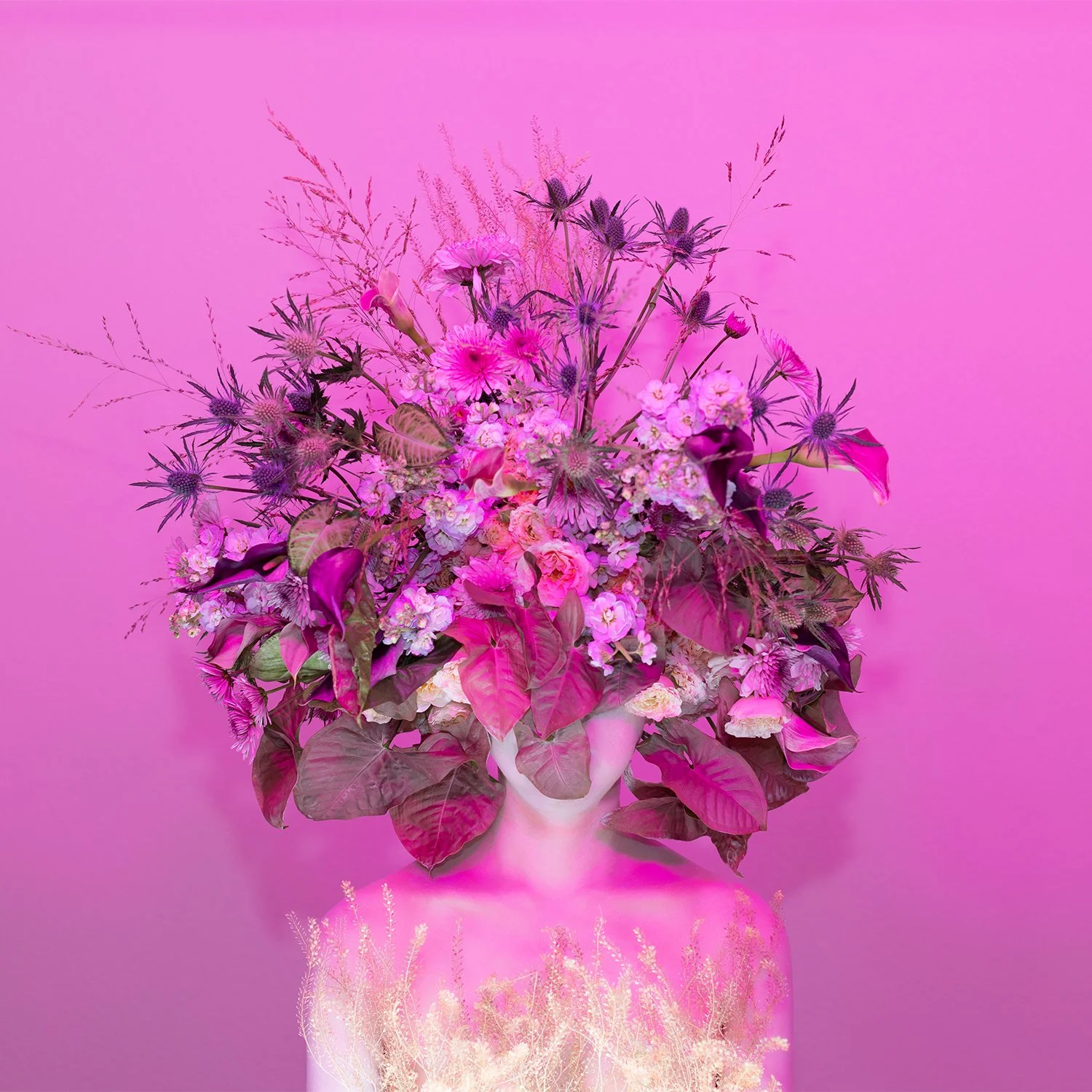 Scent of austin 07052024P.jpg