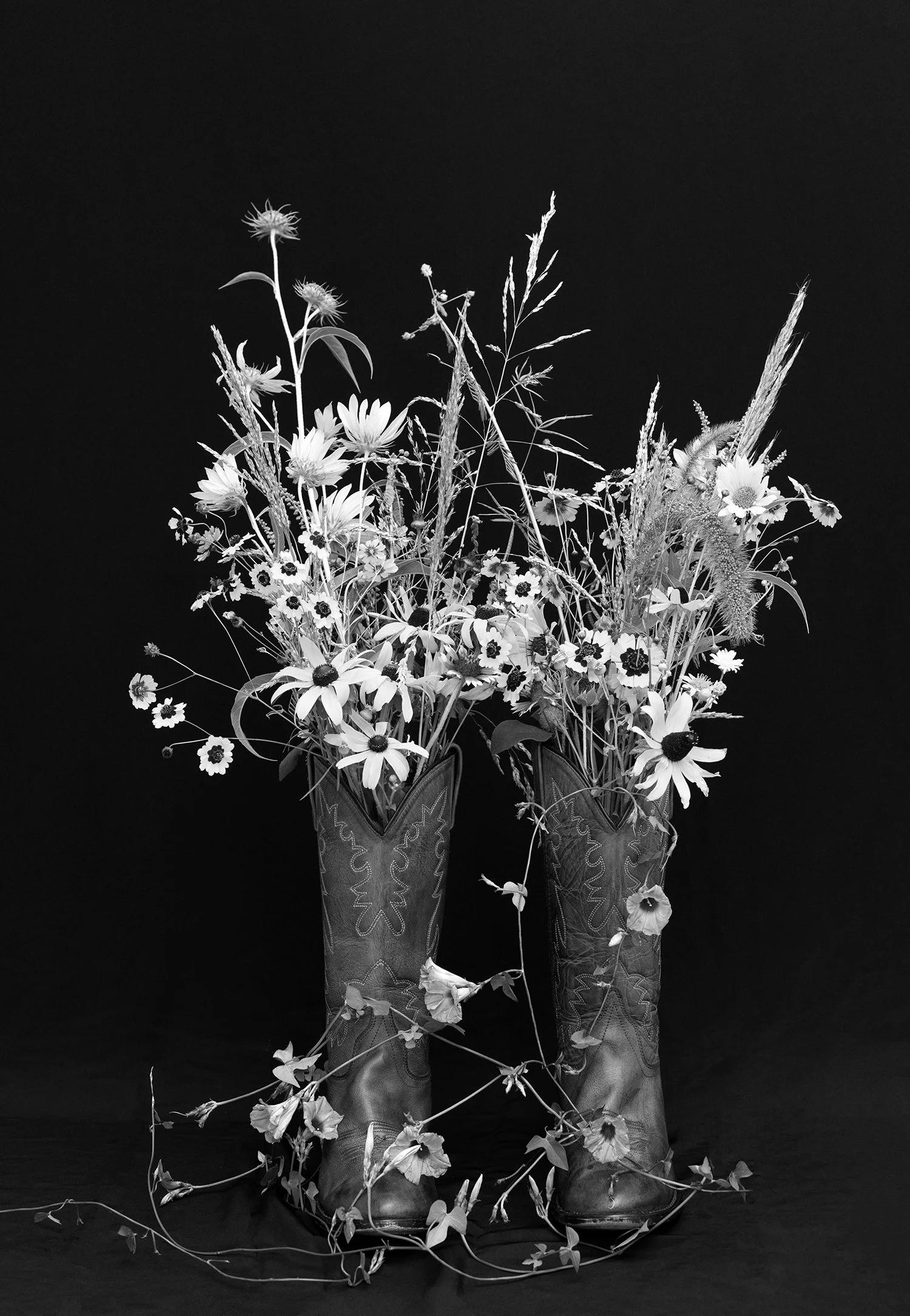 spirit of Texas bw.jpg