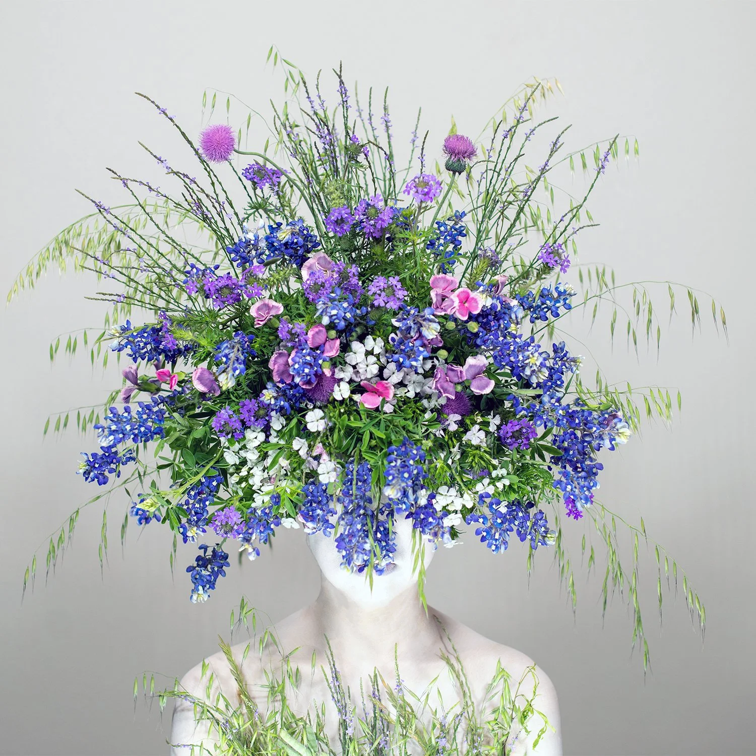 03-bluebonnet dream.jpg