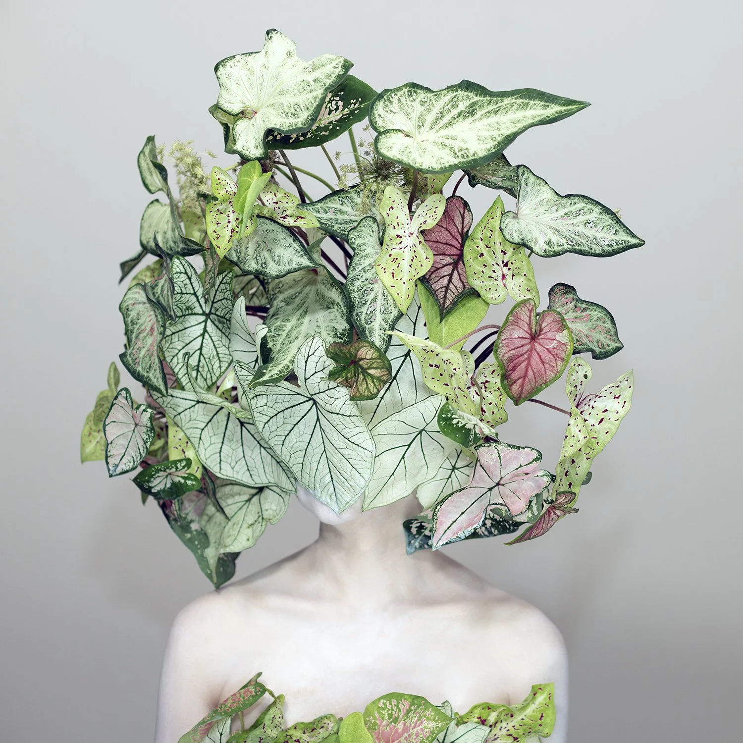 22-Scent of Austin 07082025.jpg